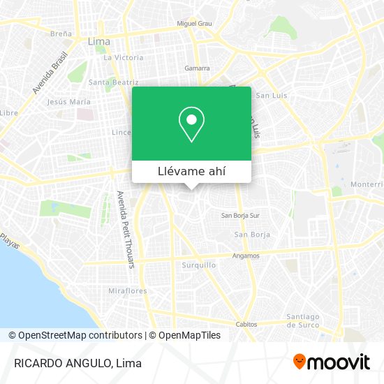 Mapa de RICARDO ANGULO