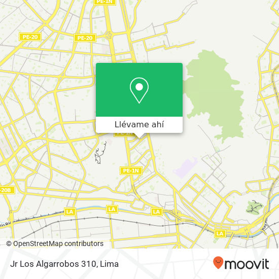 Mapa de Jr  Los Algarrobos 310