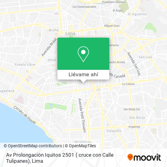 Mapa de Av Prolongación Iquitos 2501 ( cruce con Calle Tulipanes)