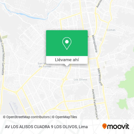 Mapa de AV  LOS ALISOS CUADRA 9  LOS OLIVOS