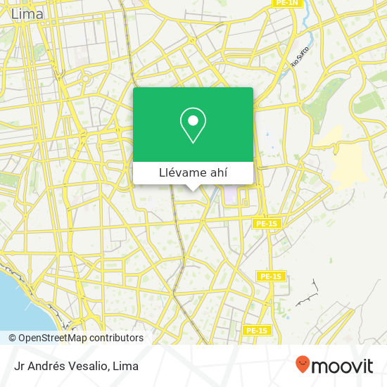 Mapa de Jr  Andrés Vesalio