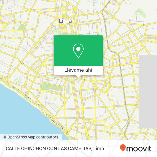 Mapa de CALLE CHINCHON  CON LAS CAMELIAS