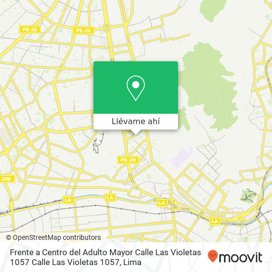 Mapa de Frente a Centro del Adulto Mayor   Calle Las Violetas 1057  Calle Las Violetas 1057