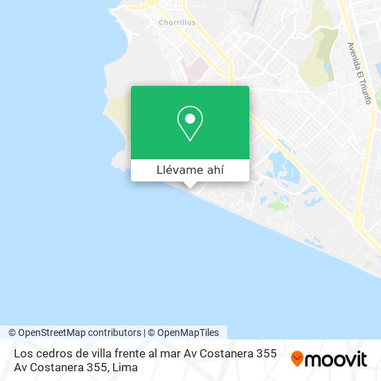 Mapa de Los cedros de villa   frente al mar  Av  Costanera 355 Av  Costanera 355