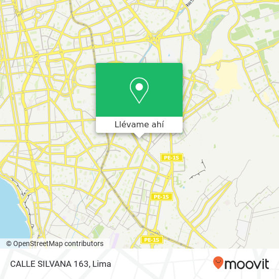 Mapa de CALLE SILVANA 163