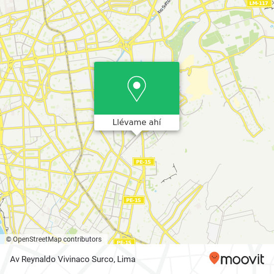 Mapa de Av  Reynaldo Vivinaco Surco