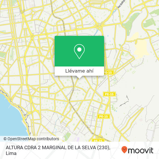 Mapa de ALTURA CDRA 2 MARGINAL DE LA SELVA (230)