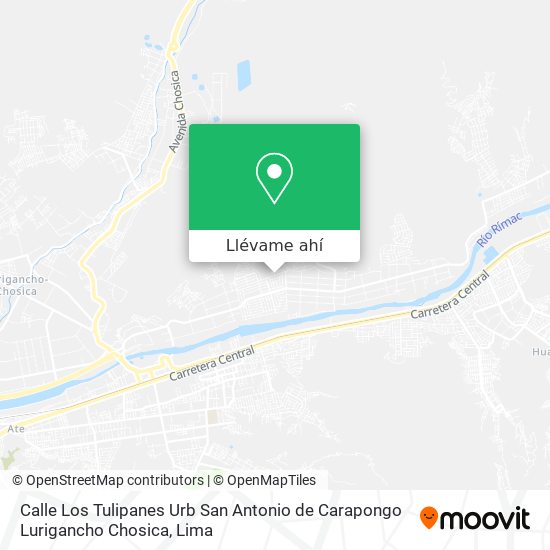 Mapa de Calle Los Tulipanes  Urb  San Antonio de Carapongo  Lurigancho Chosica