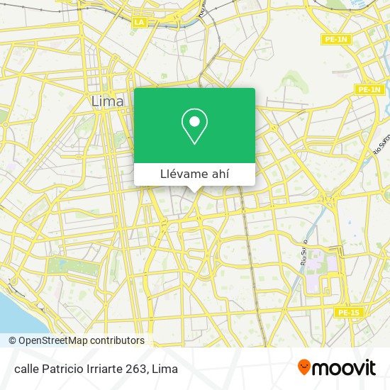 Mapa de calle Patricio Irriarte 263