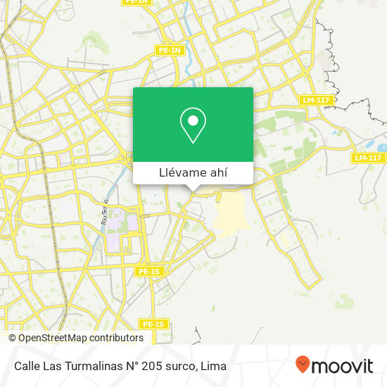 Mapa de Calle Las Turmalinas  N° 205   surco