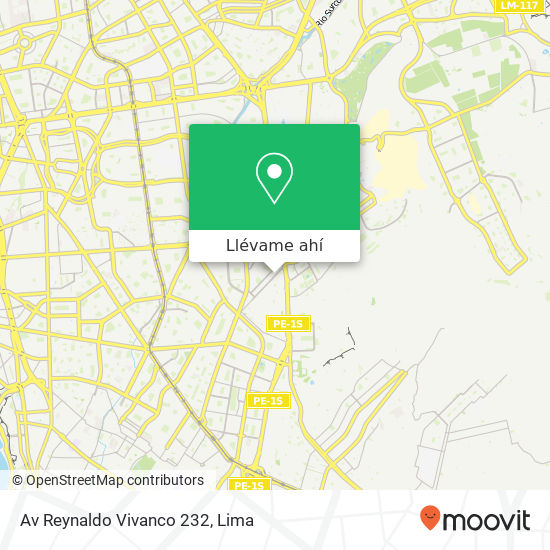 Mapa de Av  Reynaldo Vivanco 232