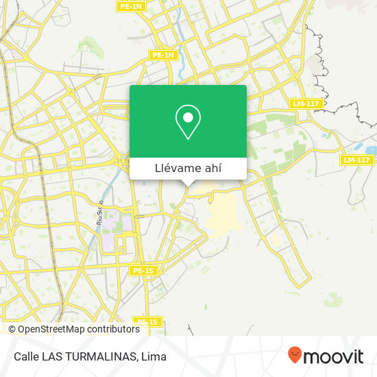 Mapa de Calle LAS TURMALINAS