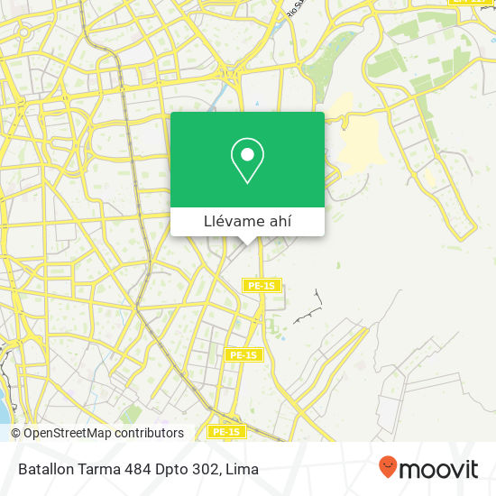 Mapa de Batallon Tarma 484  Dpto 302