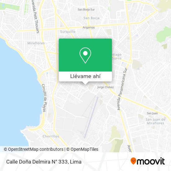Mapa de Calle Doña Delmira N° 333