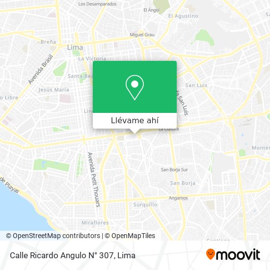 Mapa de Calle Ricardo Angulo N° 307
