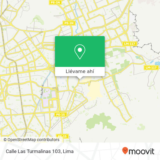 Mapa de Calle Las Turmalinas 103