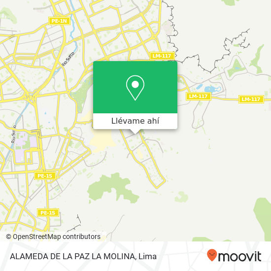 Mapa de ALAMEDA DE LA PAZ  LA MOLINA