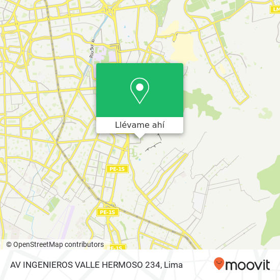 Mapa de AV INGENIEROS VALLE HERMOSO 234