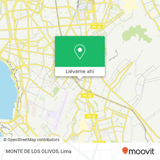 Mapa de MONTE DE LOS OLIVOS