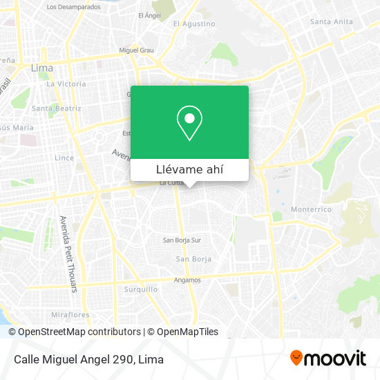 Mapa de Calle Miguel Angel 290