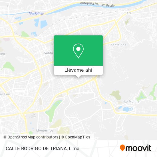 Mapa de CALLE RODRIGO DE TRIANA