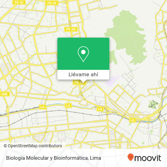 Mapa de Biología Molecular y Bioinformática