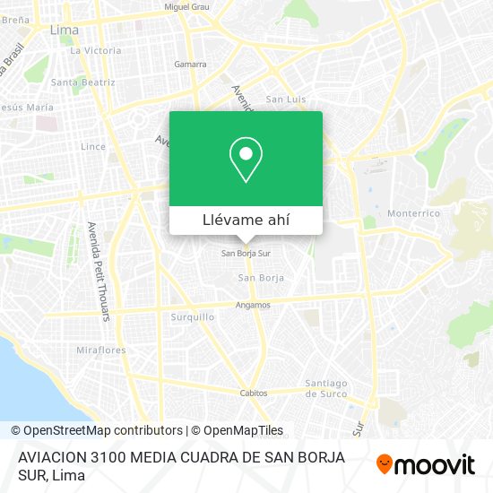 Mapa de AVIACION 3100  MEDIA CUADRA DE SAN BORJA SUR
