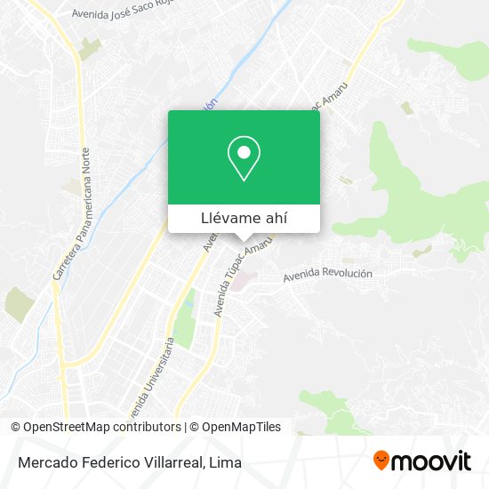 Mapa de Mercado Federico Villarreal