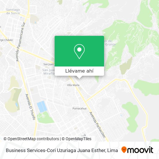 Mapa de Business Services-Cori Uzuriaga Juana Esther