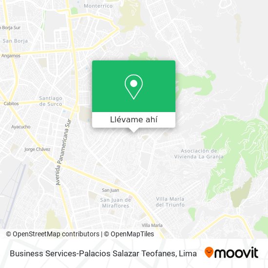 Mapa de Business Services-Palacios Salazar Teofanes