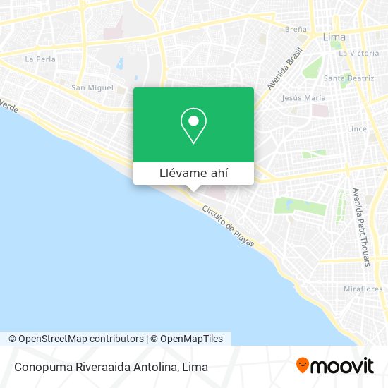 Mapa de Conopuma Riveraaida Antolina