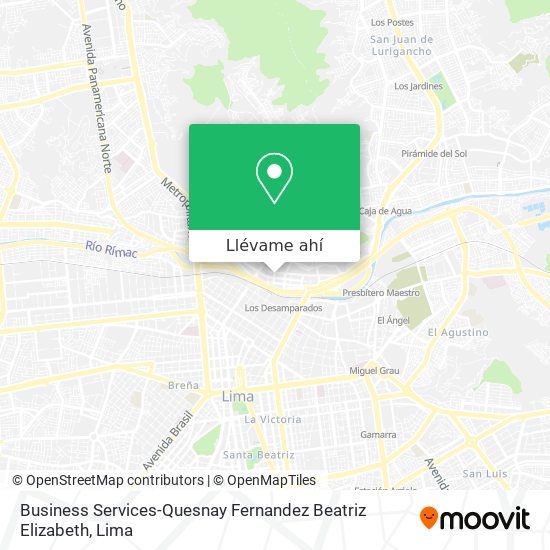 Mapa de Business Services-Quesnay Fernandez Beatriz Elizabeth