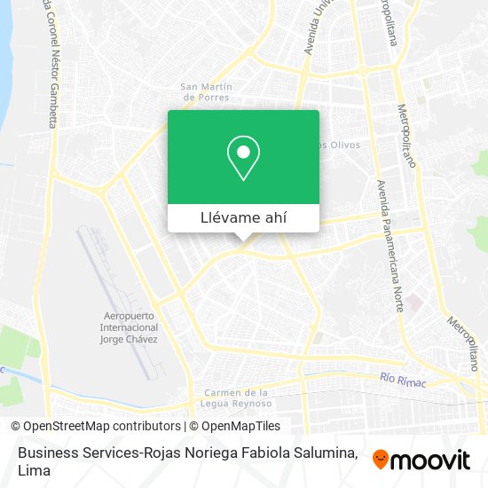 Mapa de Business Services-Rojas Noriega Fabiola Salumina