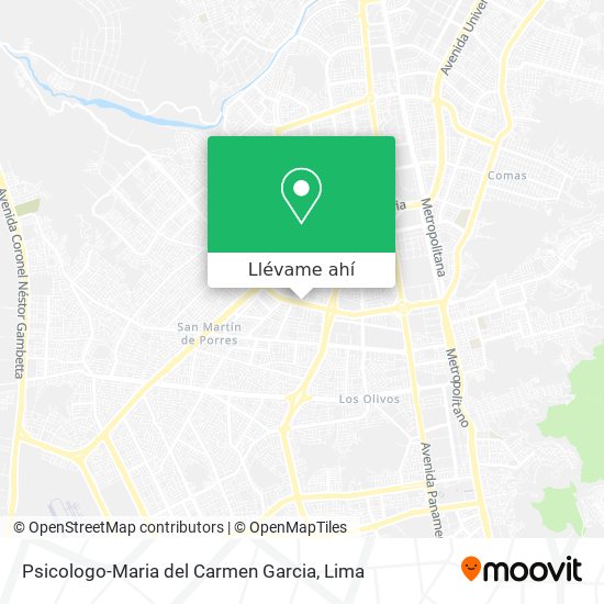 Mapa de Psicologo-Maria del Carmen Garcia