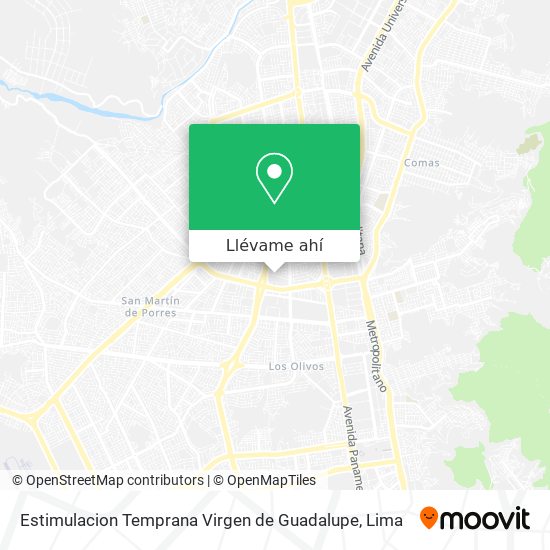 Mapa de Estimulacion Temprana Virgen de Guadalupe