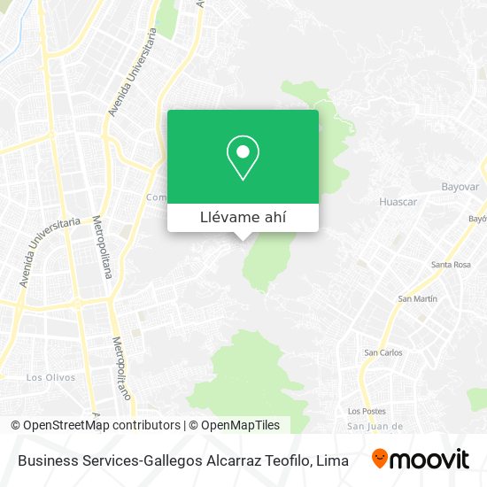 Mapa de Business Services-Gallegos Alcarraz Teofilo