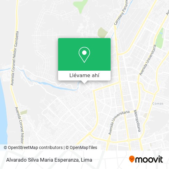 Mapa de Alvarado Silva Maria Esperanza