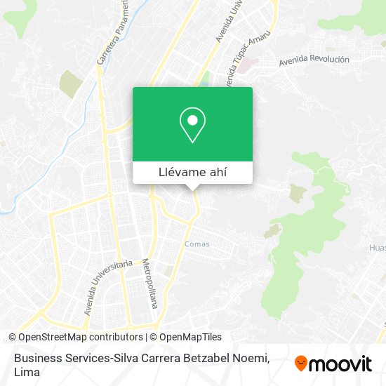 Mapa de Business Services-Silva Carrera Betzabel Noemi