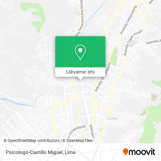 Mapa de Psicologo-Castillo Miguel