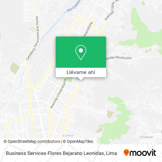 Mapa de Business Services-Flores Bejarano Leonidas