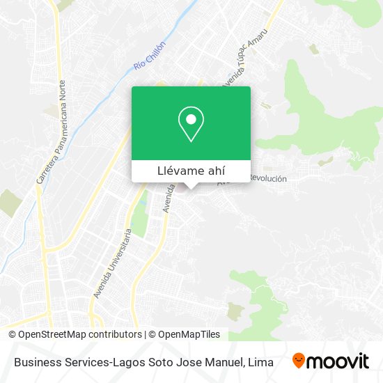 Mapa de Business Services-Lagos Soto Jose Manuel