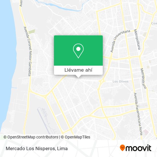 Mapa de Mercado Los Nísperos