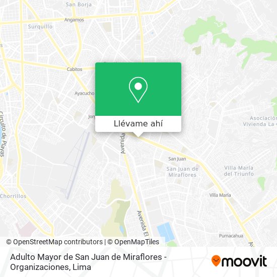 Mapa de Adulto Mayor de San Juan de Miraflores - Organizaciones
