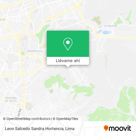 Mapa de Leon Salcedo Sandra Hortencia