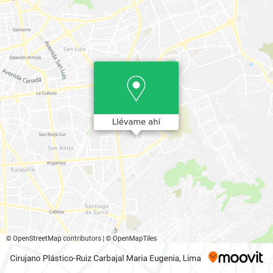 Mapa de Cirujano Plástico-Ruiz Carbajal Maria Eugenia