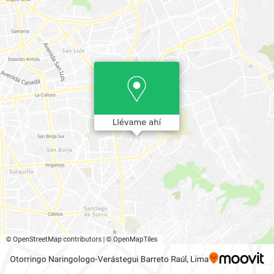 Mapa de Otorringo Naringologo-Verástegui Barreto Raúl