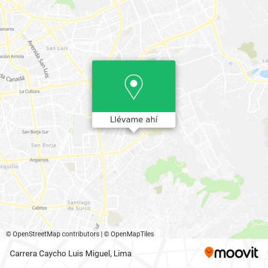 Mapa de Carrera Caycho Luis Miguel