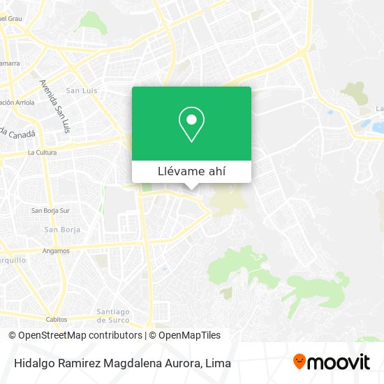 Mapa de Hidalgo Ramirez Magdalena Aurora