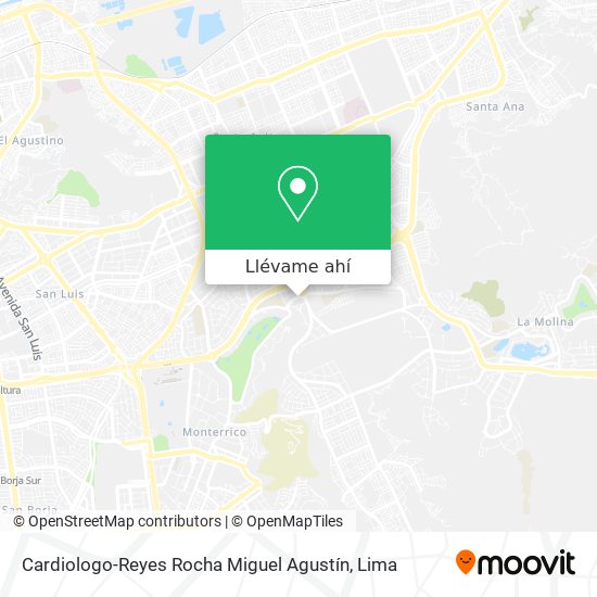 Mapa de Cardiologo-Reyes Rocha Miguel Agustín