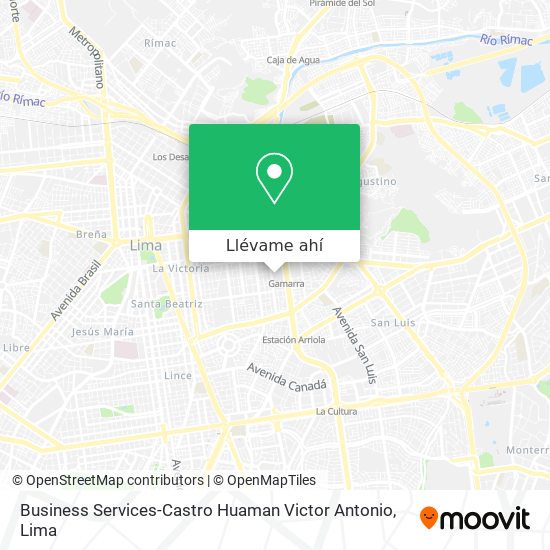 Mapa de Business Services-Castro Huaman Victor Antonio